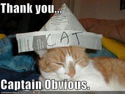 funny-pictures-cat-has-obvious-hat