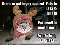 funny-pictures-cat-is-dressed-like-a-reindeer-and-might-kill-you